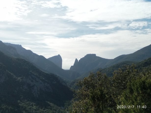 WhatsApp Image 2020-02-07 at 14.53.31